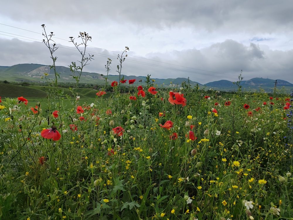 Photograph by Анастасия Проскурнова