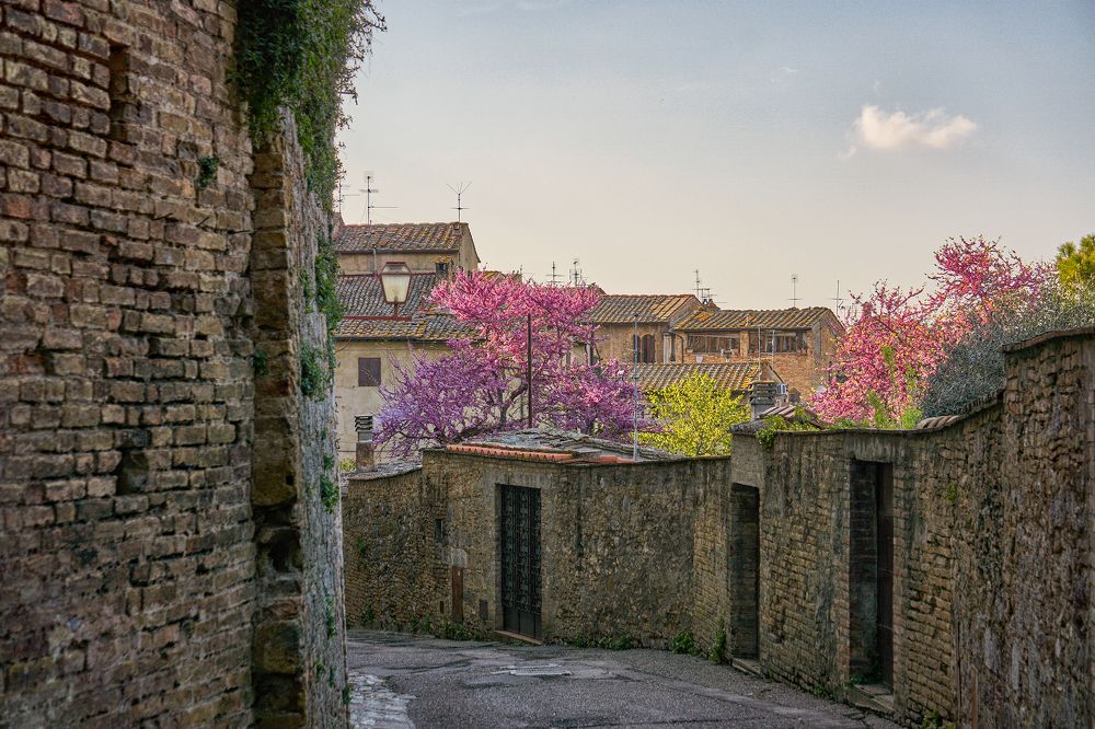 Photograph by Валерий