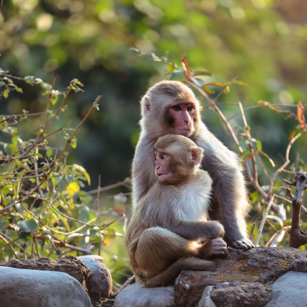 Photograph by RITVIK BHARDWAJ