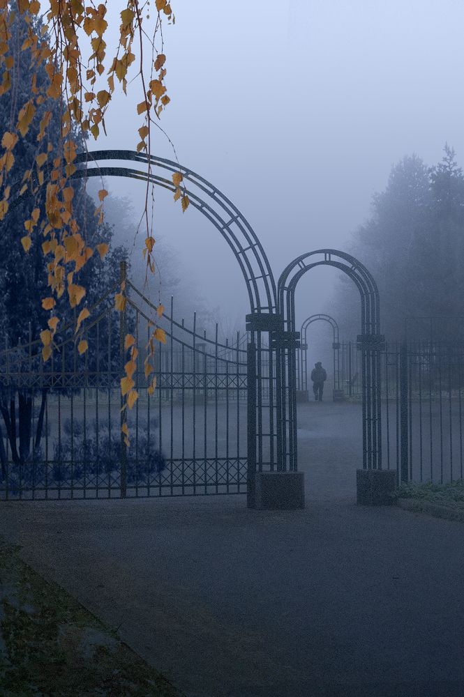 Photograph by T. Bondarenko