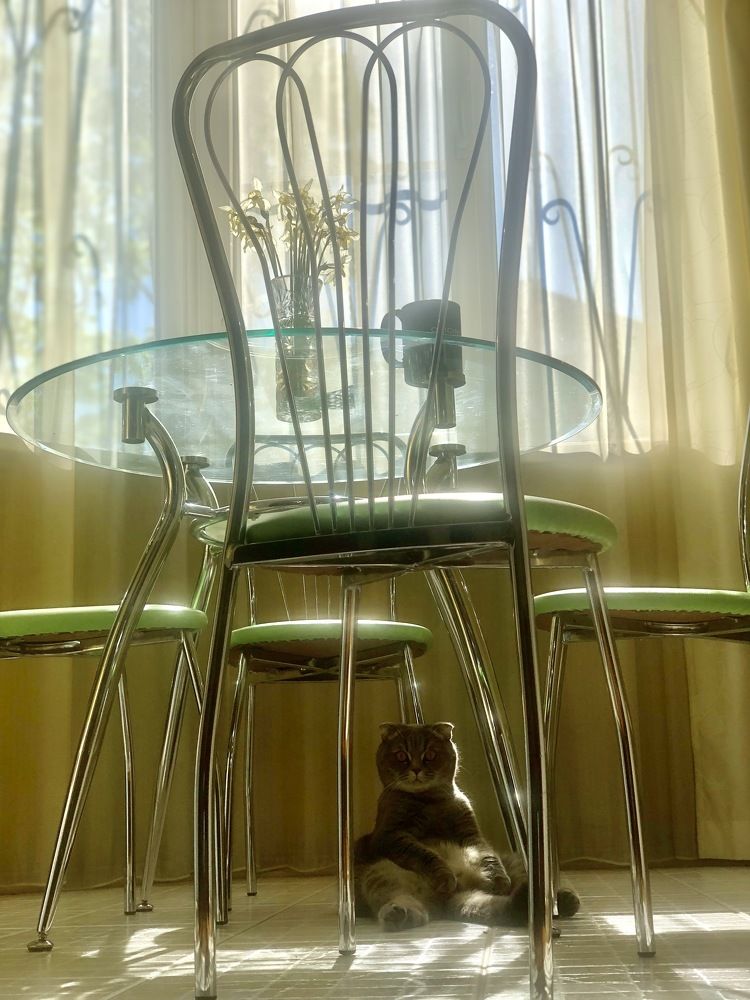 Photograph by Александр