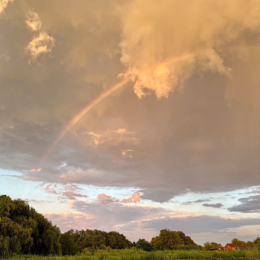 Photograph by Ника Клименко