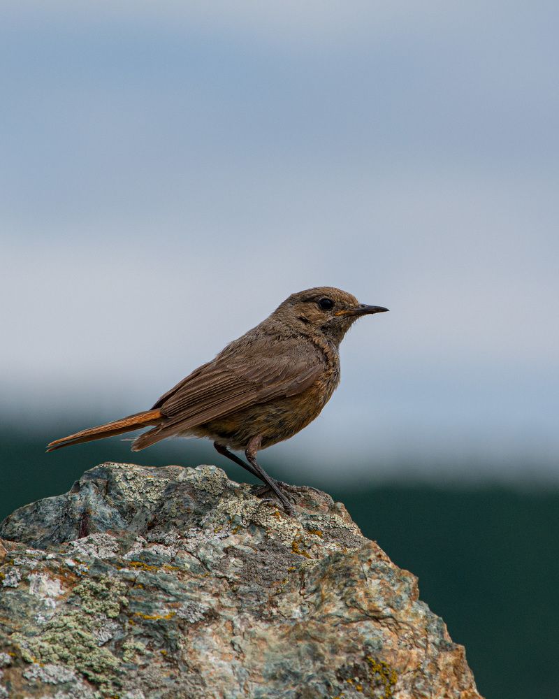 Photograph by Андрей Бобрюк