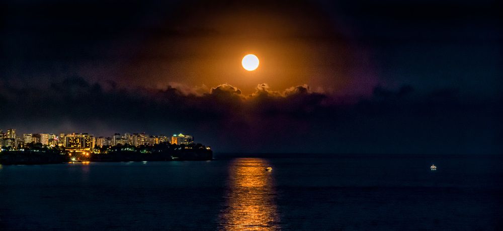 Photograph by Rustu Erata