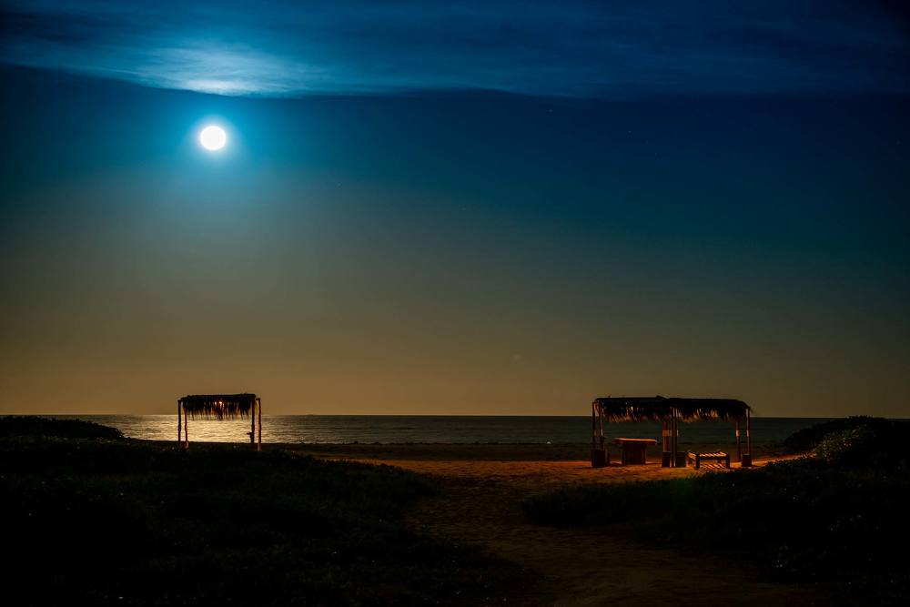 Photograph by Marcelo Aniello