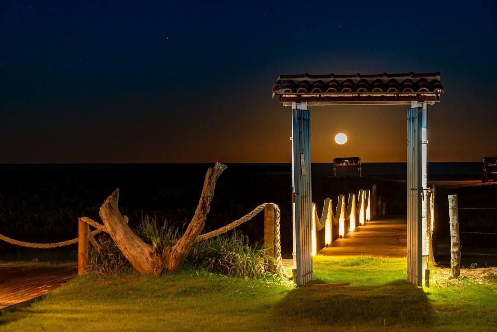 Photograph by Marcelo Aniello