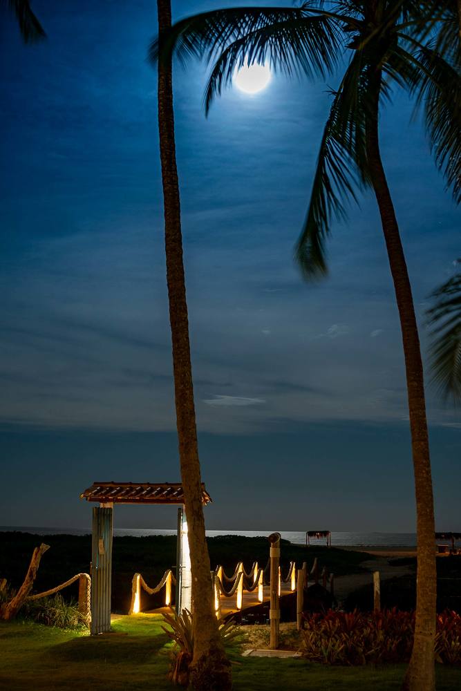 Photograph by Marcelo Aniello