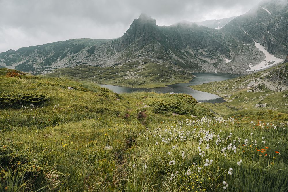 Photograph by Ani Yordanova