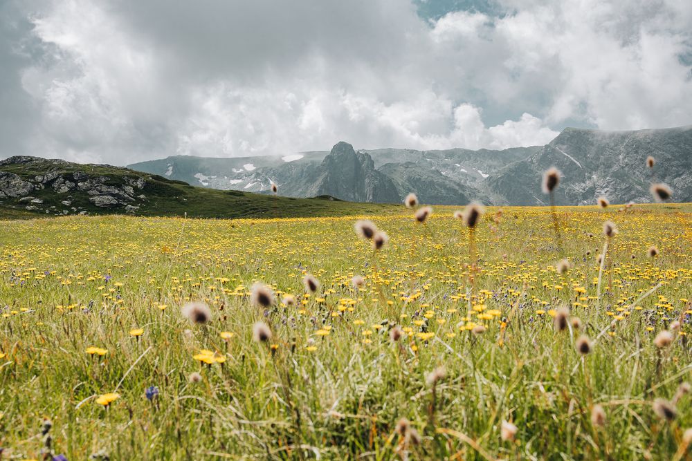 Photograph by Ani Yordanova