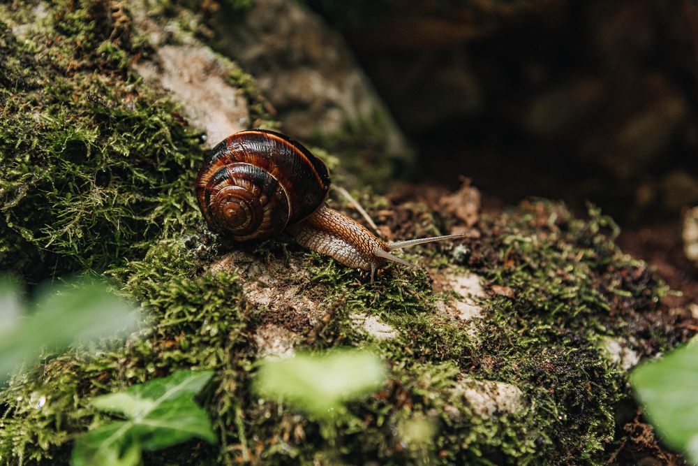 Photograph by Ani Yordanova