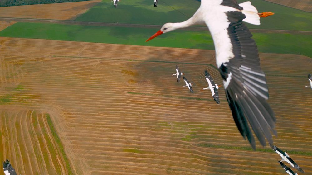 Photograph by Сергей Морозов