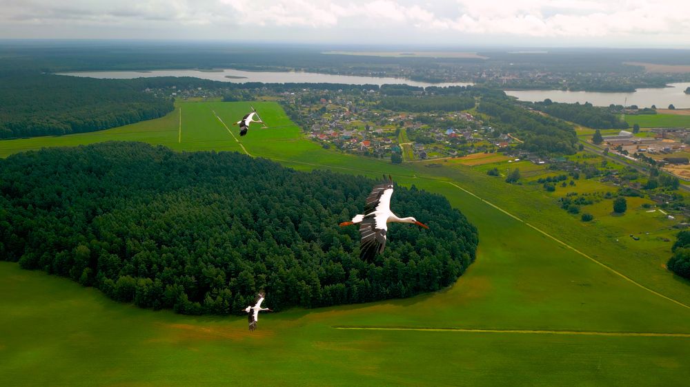 Photograph by Сергей Морозов