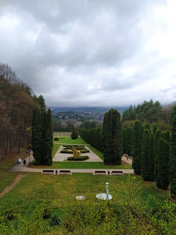 Фотография автора Елена Александрова