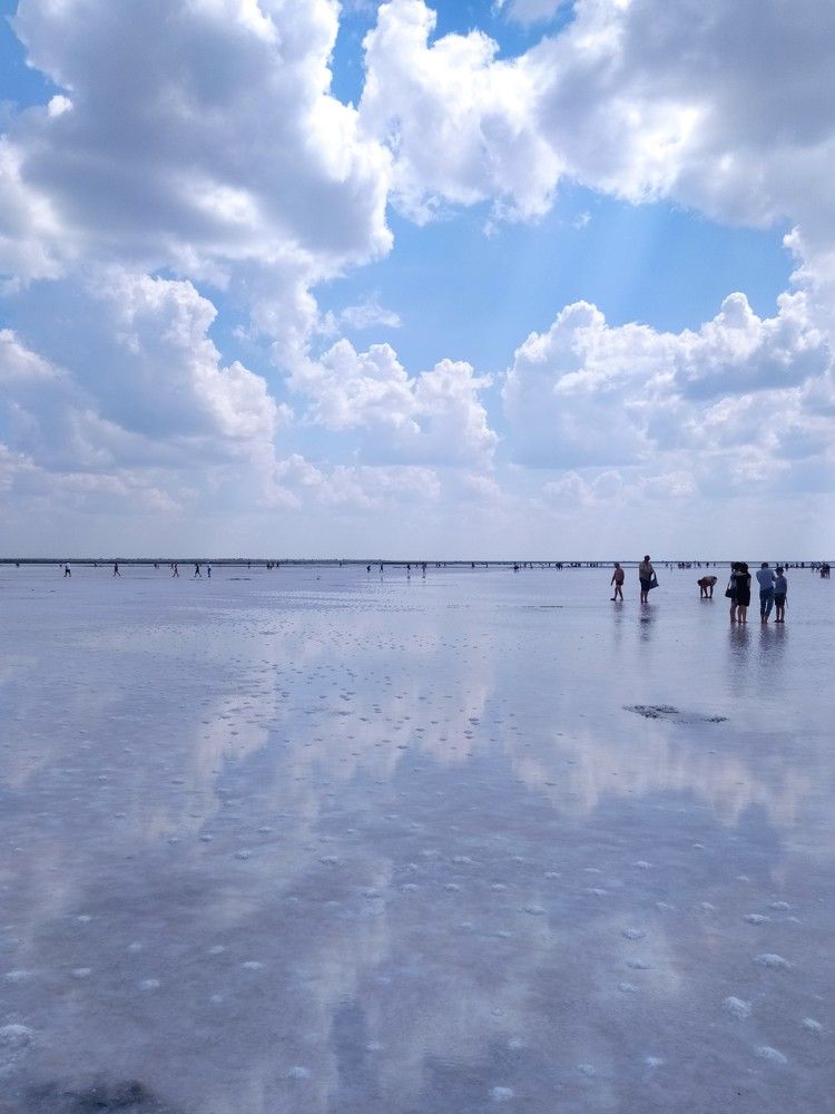 Фотография автора Елена Александрова