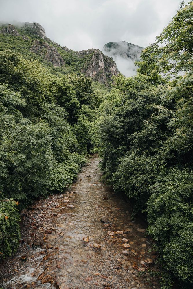 Photograph by Ani Yordanova