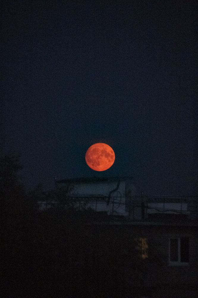 Photograph by Юлия Журавлёва