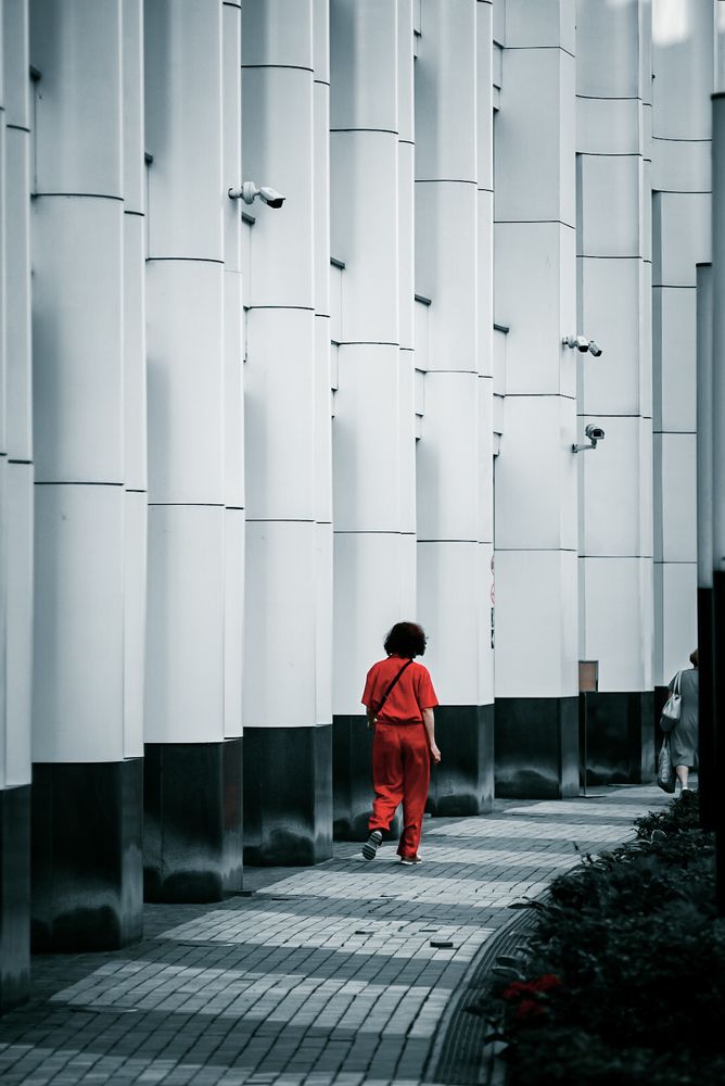 Photograph by Павел Быков