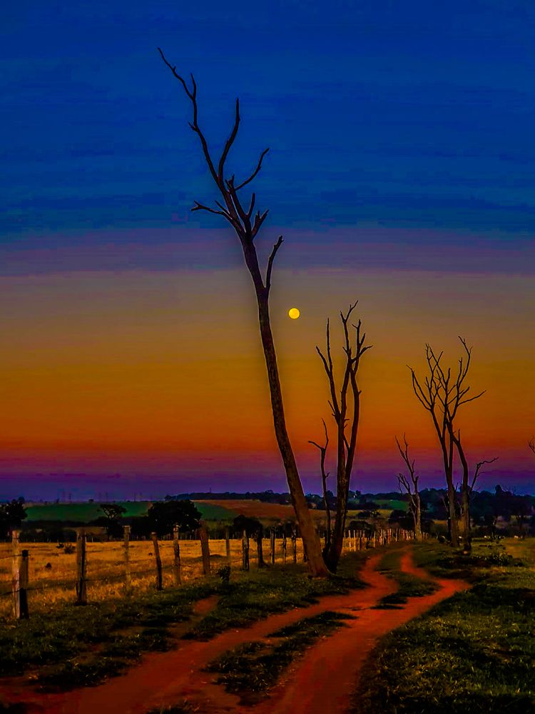 Photograph by Régis Santos