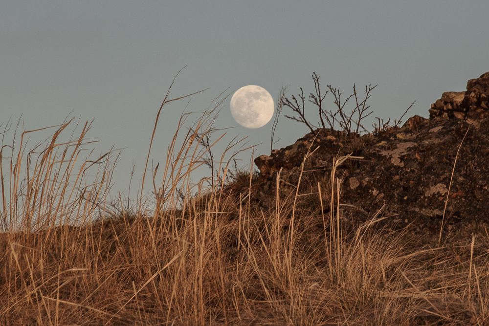 Photograph by Ирина Яук