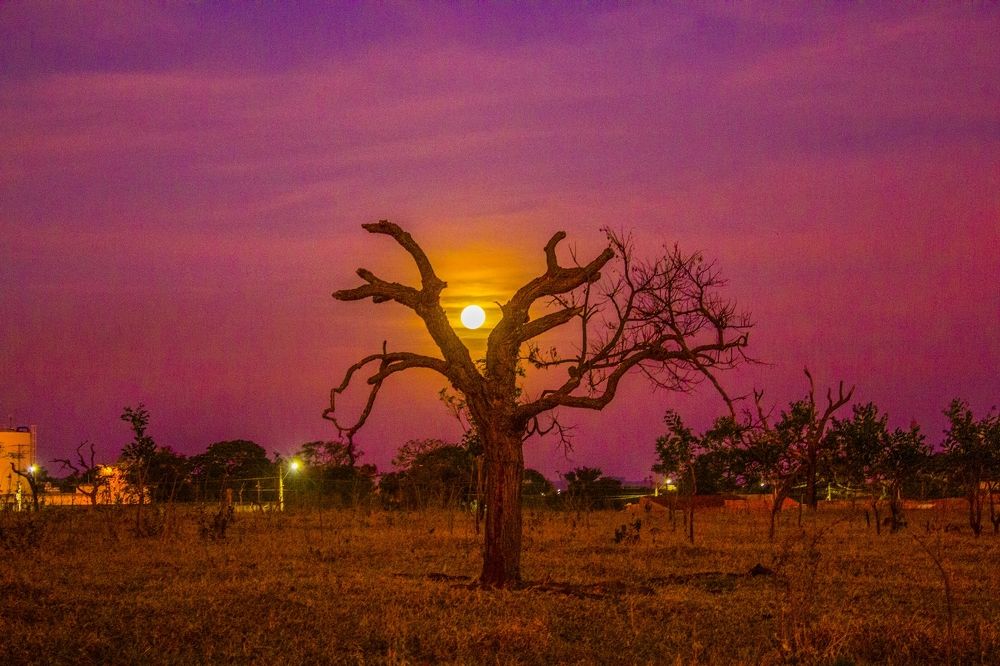 Photograph by Régis Santos