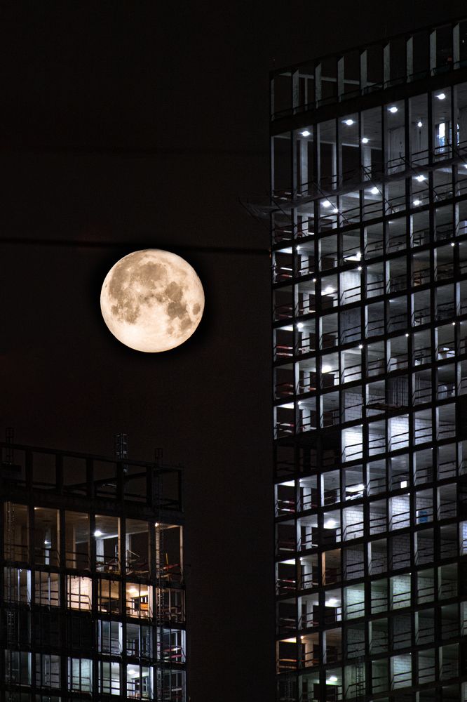 Photograph by Игорь Толкачев