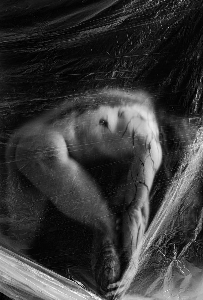 Photograph by Анастасия Харитонова