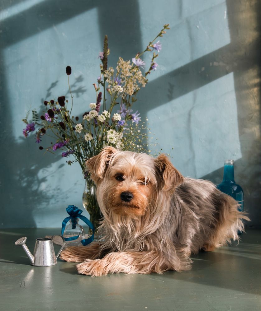 Photograph by Ирина Яук