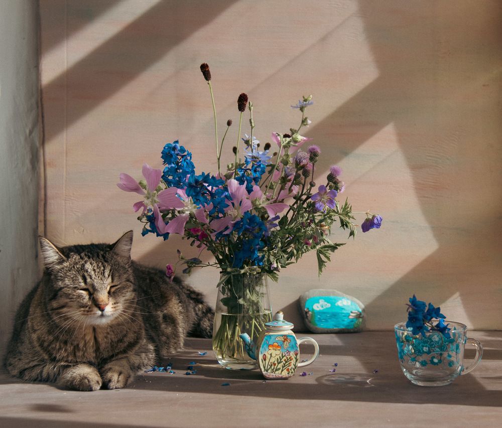 Photograph by Ирина Яук