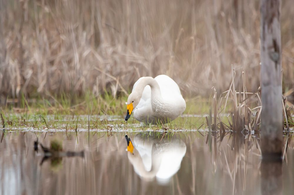 Photograph by Сергей Поляченко