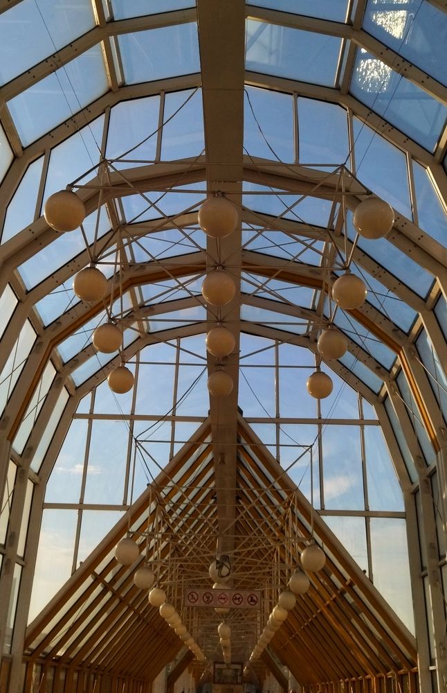 Photograph by Ольга Заповедная