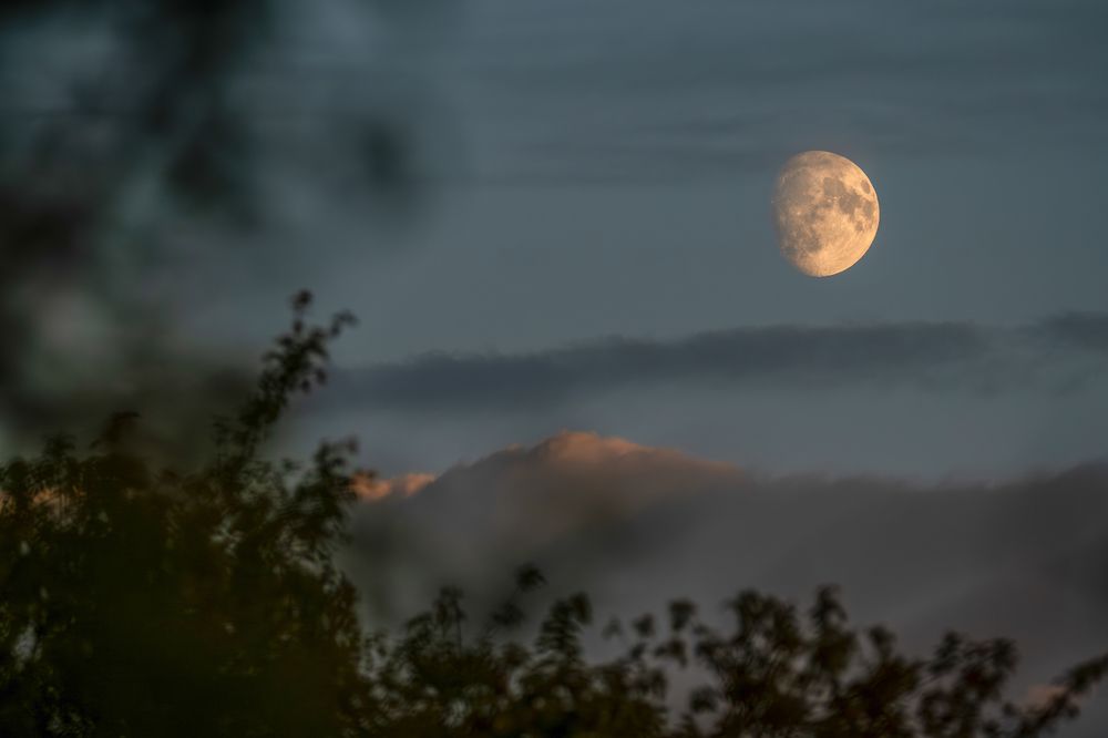 Скоро полнолуние