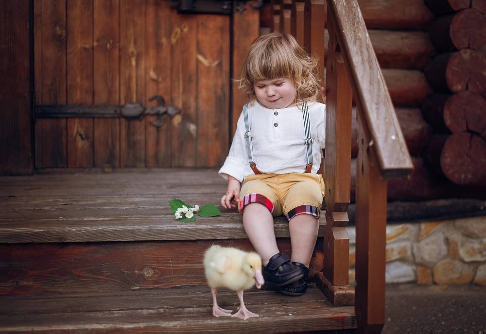 Давай дружить