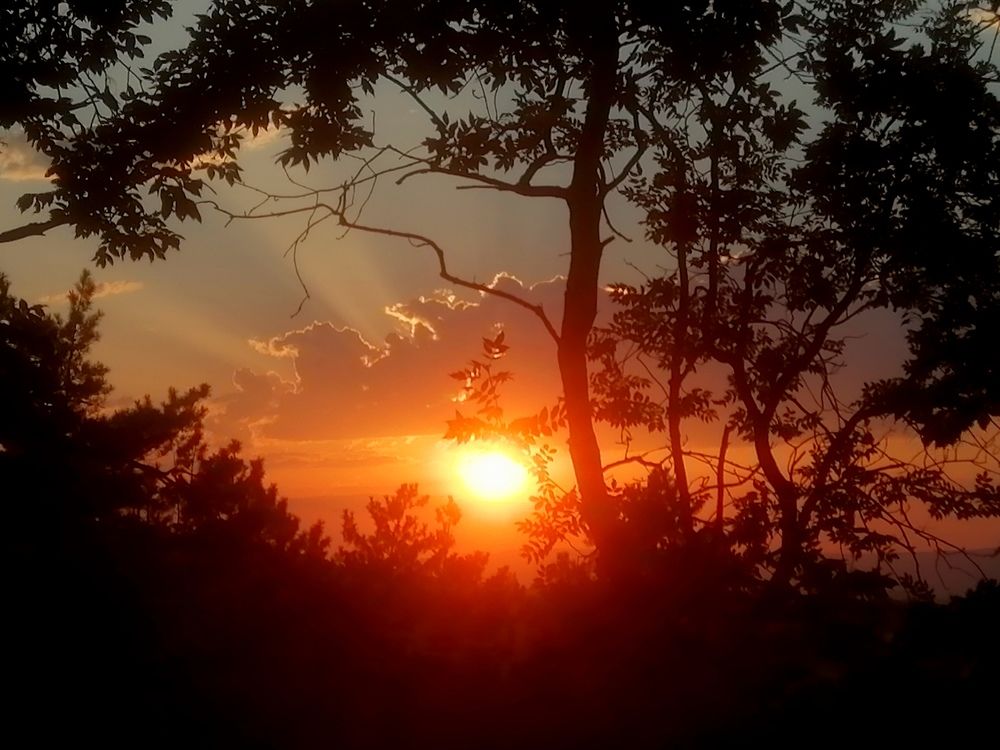 Photograph by Виталий Са