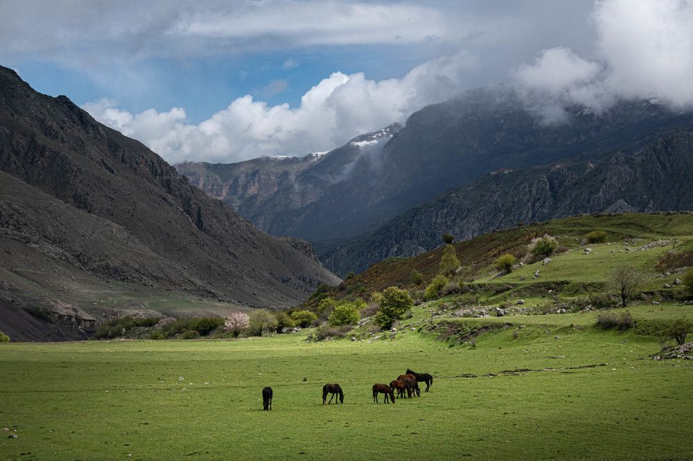 Photograph by Игорь Криулин