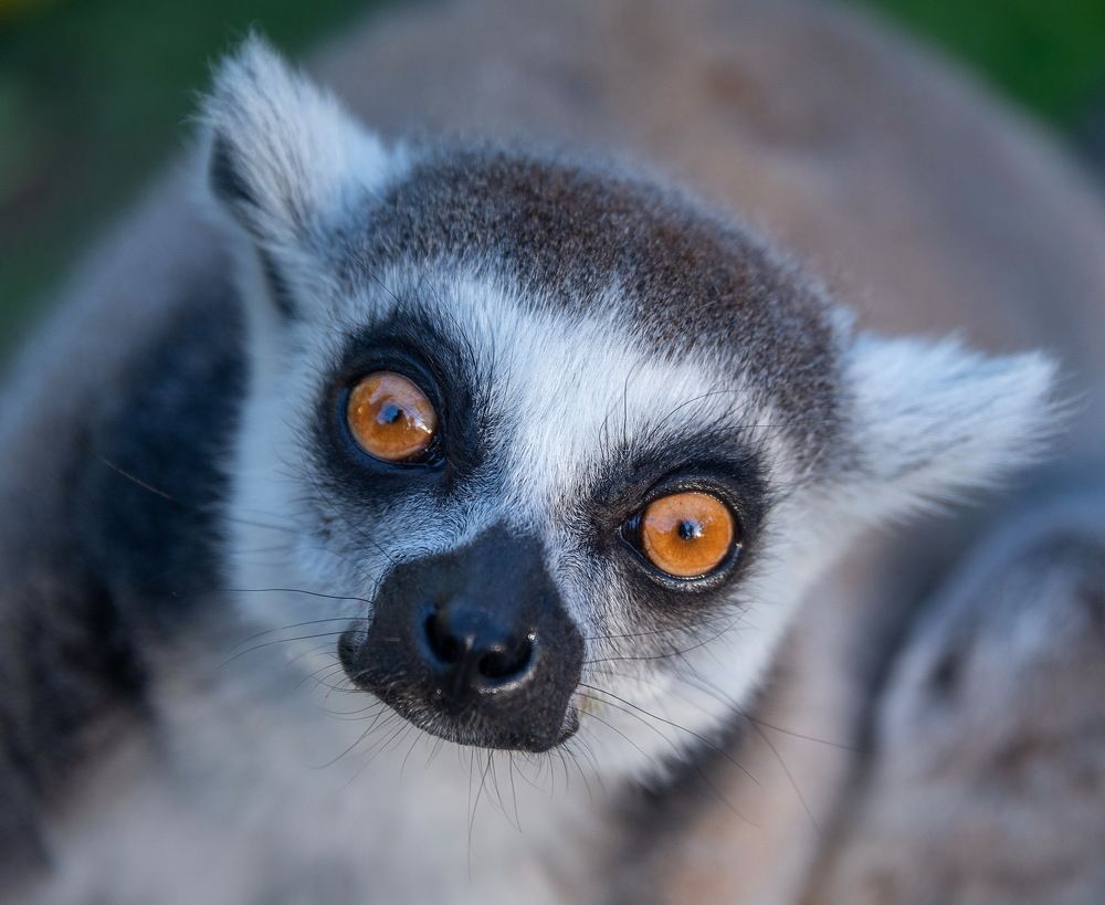 Photograph by Владимир Брагилевский