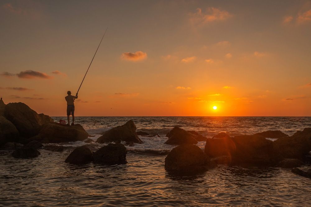 Photograph by Владимир Брагилевский
