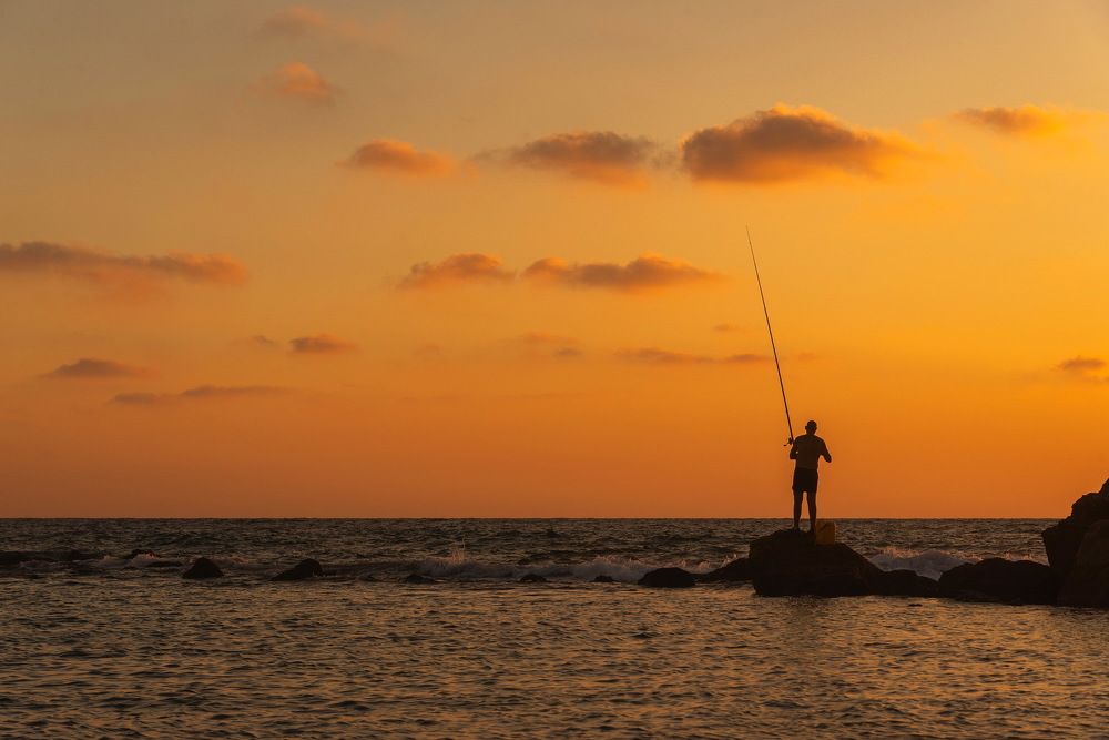 Photograph by Владимир Брагилевский