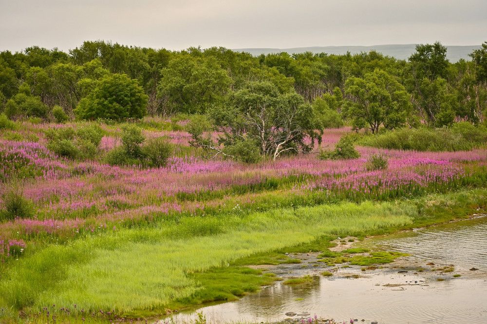 Photograph by Tanzilya Gabidullina