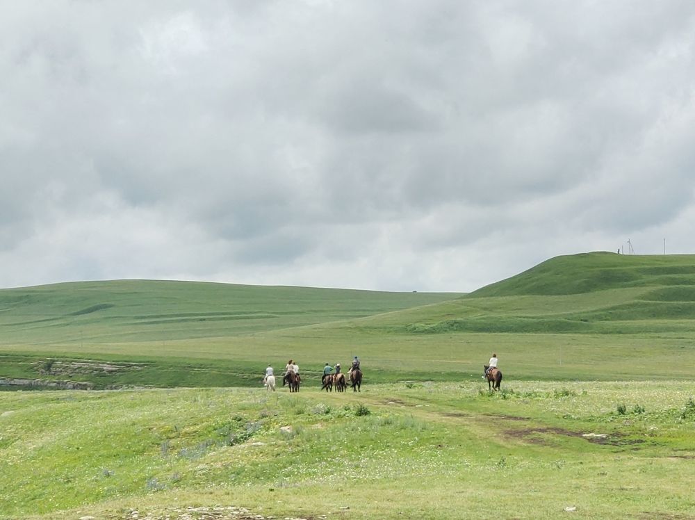 Photograph by Marina Green