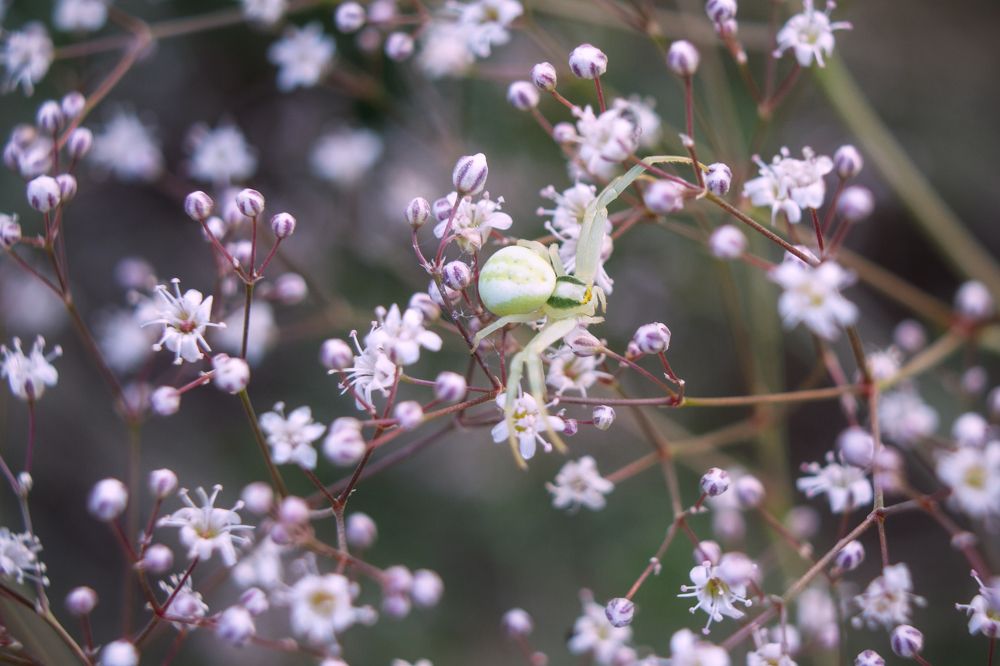 Photograph by Наталья Иванова
