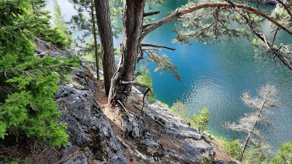 Photograph by Надежда Тузова