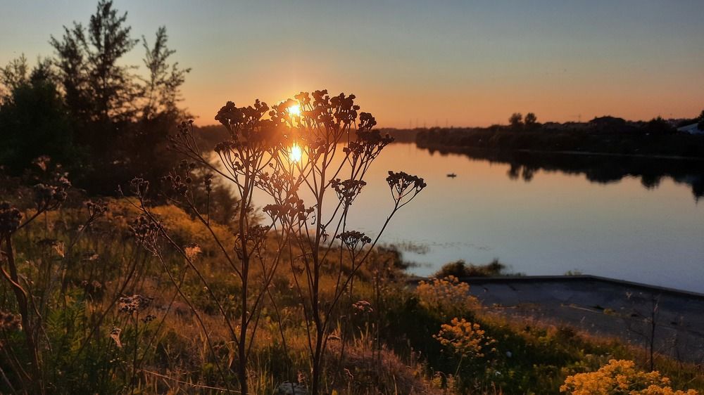 Photograph by Надежда Тузова