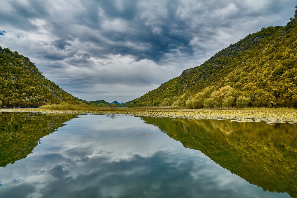 Фотография автора David Solodar