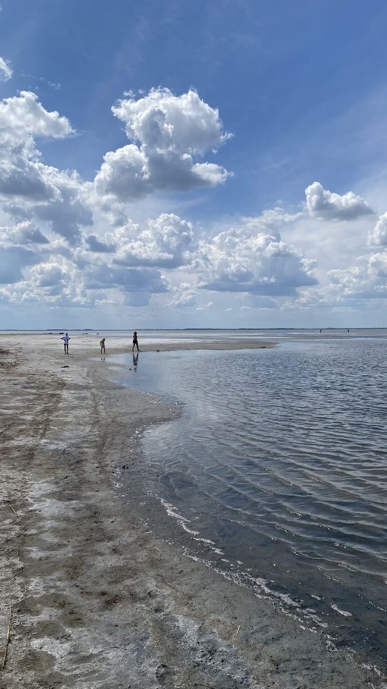 Photograph by Елена К