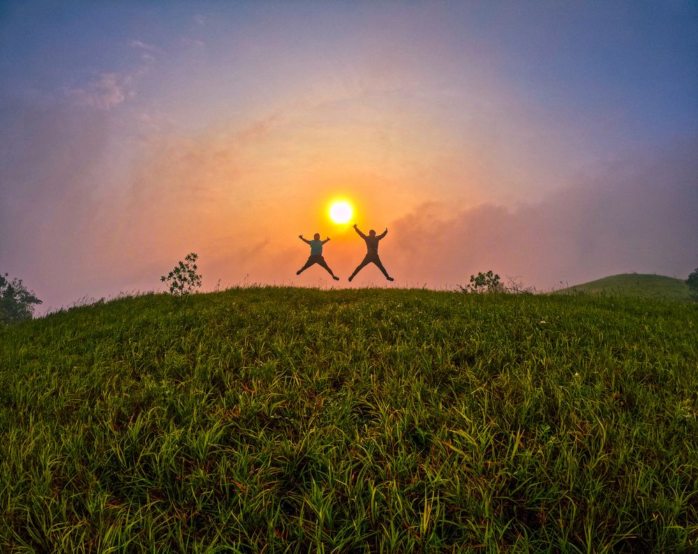 Reach for the sun!