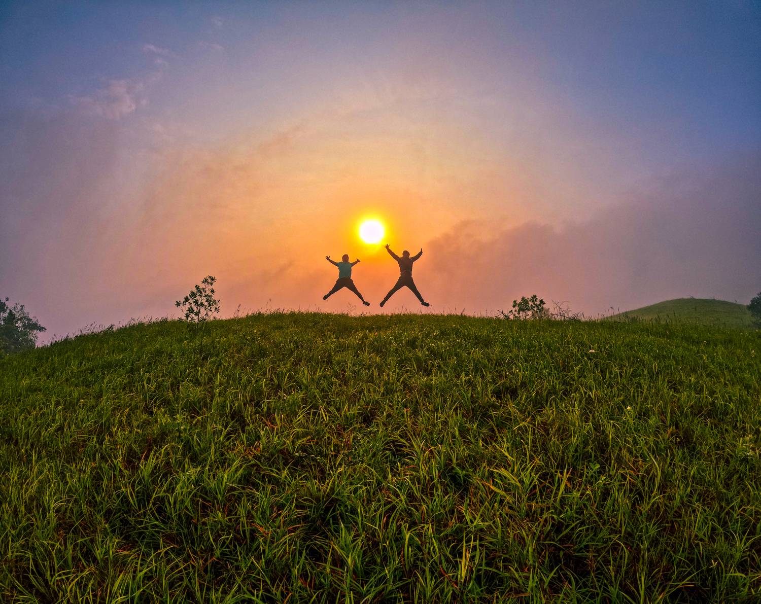 Reach for the sun!