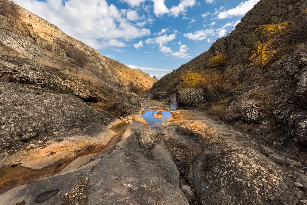 Photograph by Владимир Лысов