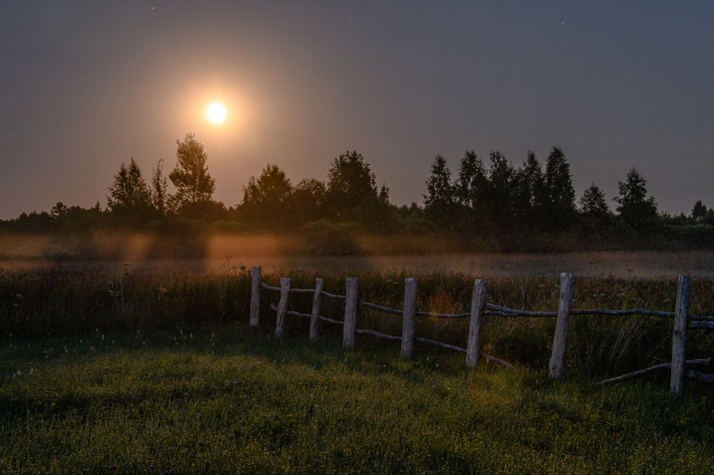 Photograph by Романов Денис