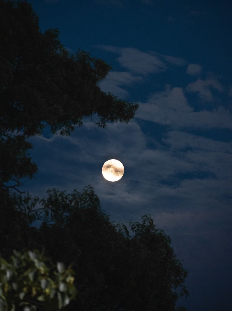 Photograph by GOVIND VISWANATH