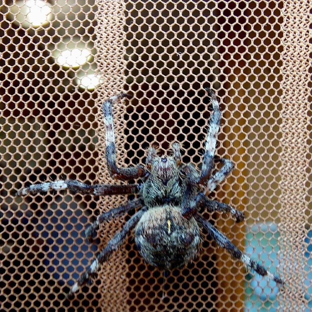 Photograph by Степан Павловский